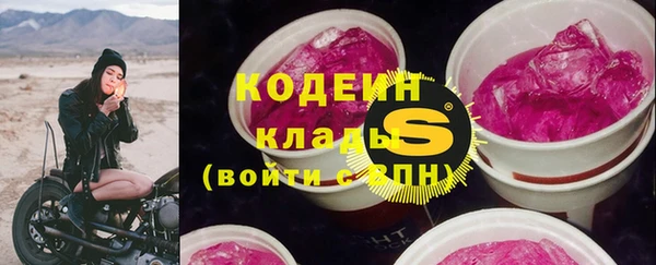 бошки Иннополис